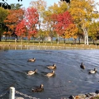 まるかん高陽店 八大龍王檄文気合合戦のお客様の声